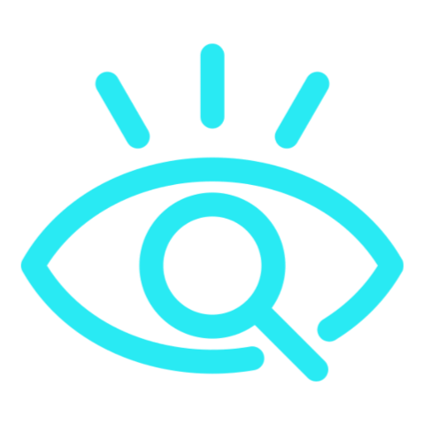 Visual Insight Panel